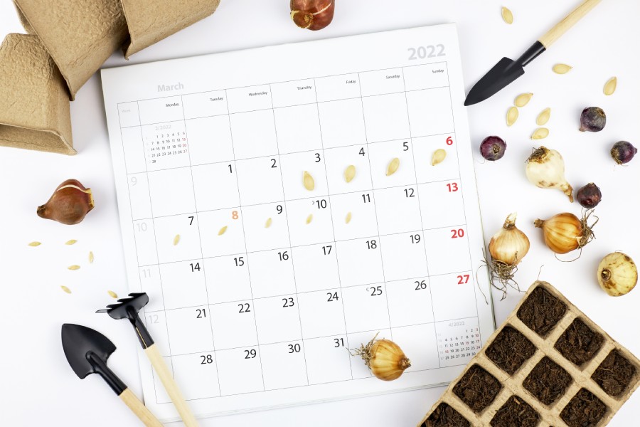 Le calendrier de votre jardin - MSEC à Lannemezan