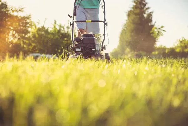 Qui peut bénéficier du service à la personne pour du jardinage ?, Lannemezan, Maison Services et Compagnie