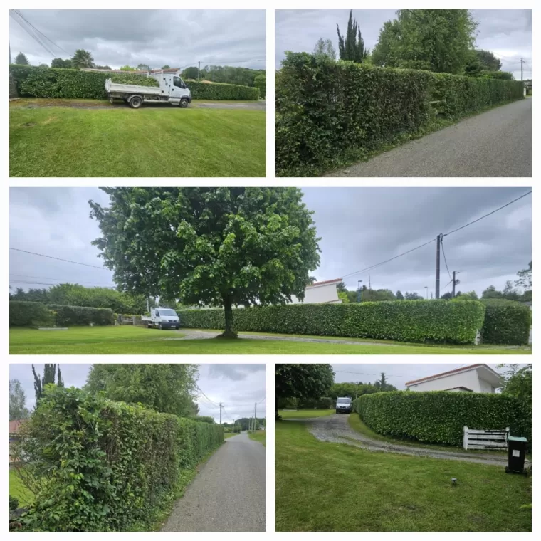 Services pour l'entretien global de vos jardins et espaces verts à Lagange, Lannemezan, Maison Services et Compagnie