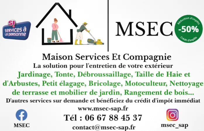 Pourquoi la taille des arbres fruitiers à Lannemezan est cruciale maintenant avec MSEC, Lannemezan, Maison Services et Compagnie