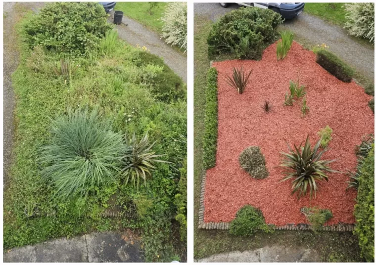 Création d'un parterre dans un jardin à Campistrous, Lannemezan, Maison Services et Compagnie