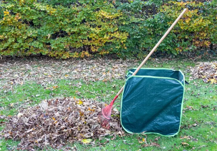 Ramassage de feuille dans votre jardin à Lannemezan, Lannemezan, Maison Services et Compagnie