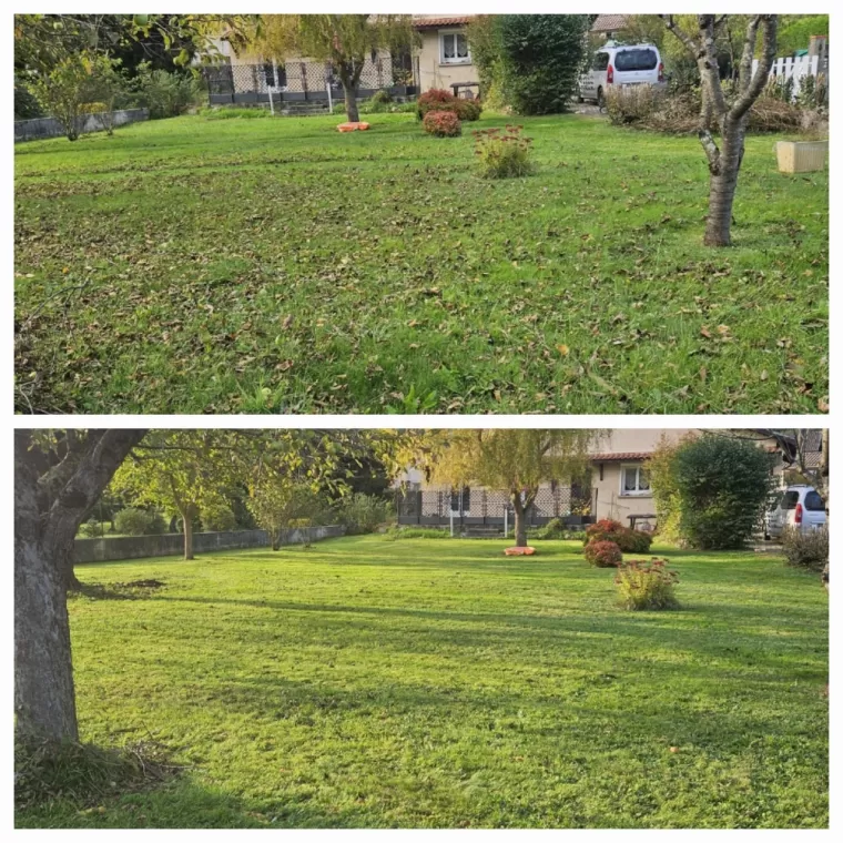 Tonte d'un jardin avec ramassage des déchets à Saint Laurent de Neste, Lannemezan, Maison Services et Compagnie