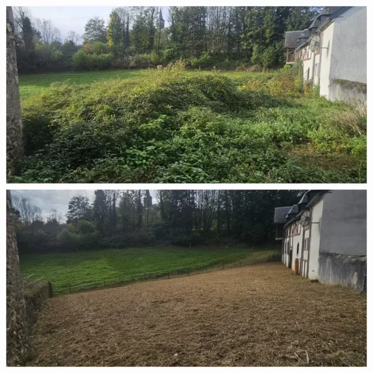 Débroussaillage roncier d'une maison envahie