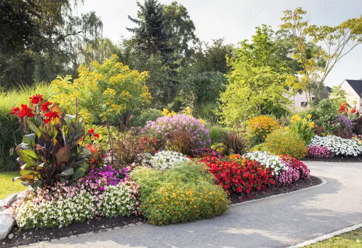 Création de parterre et massif, entretien jardin, taille de haie, tonte, débroussaillage et petit élagage