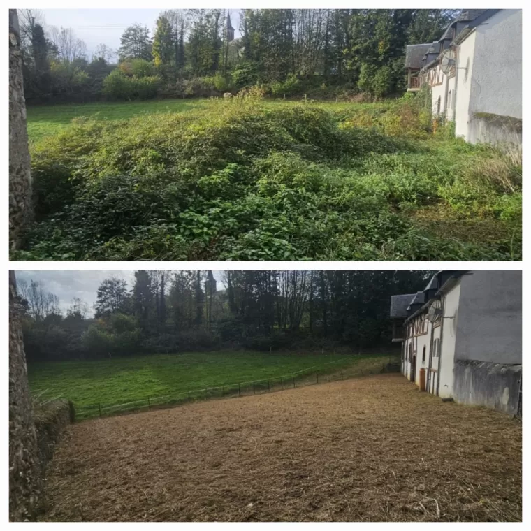 Débroussaillage d'un roncier à Lannemezan