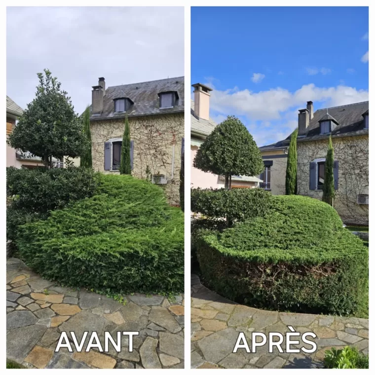Taille d'arbuste et de buisson par jardinier professionnel à Lannemezan