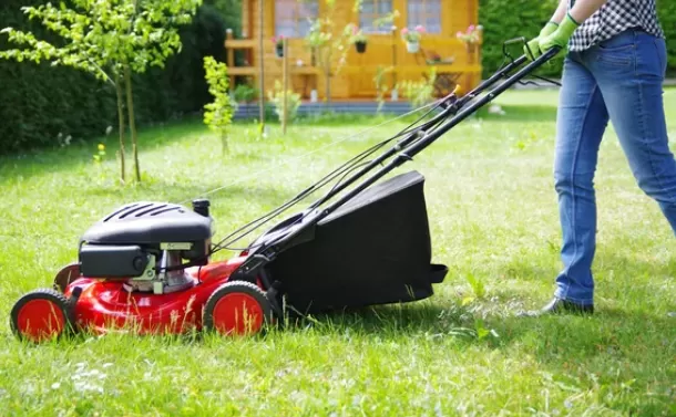 Tonte de jardin à lannemezan