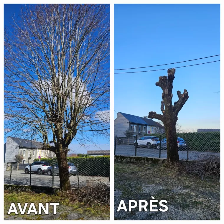 Prix pour prestations jardinage avec Maison Services et Compagnie, Lannemezan, Maison Services et Compagnie