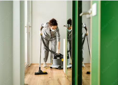 Comment bénéficier du crédit d'impôt immédiat pour le ménage à domicile avec Maison Services et Compagnie, Lannemezan, Maison Services et Compagnie