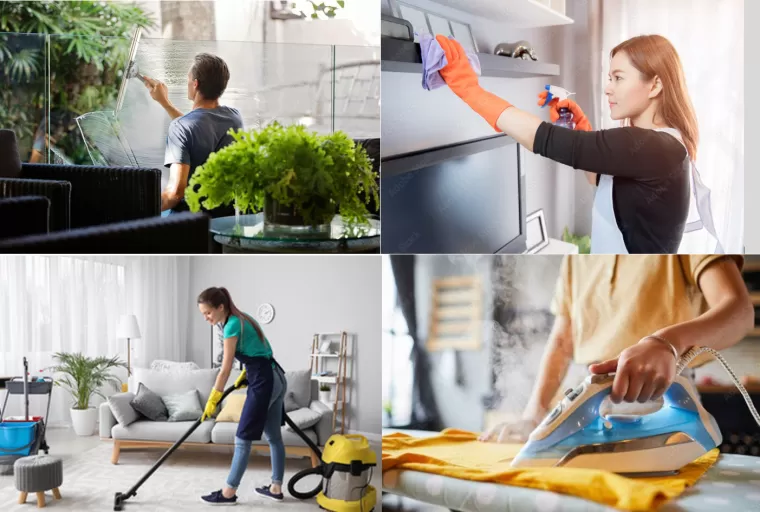 Qui contacter pour entretenir son domicile avec Maison Services et Compagnie, Lannemezan, Maison Services et Compagnie