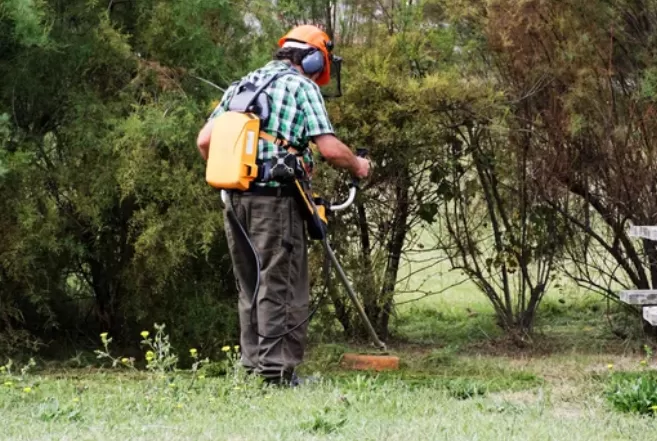 Quels services propose un jardinier à domicile avec la meilleure entreprise de service à la personne, Lannemezan, Maison Services et Compagnie