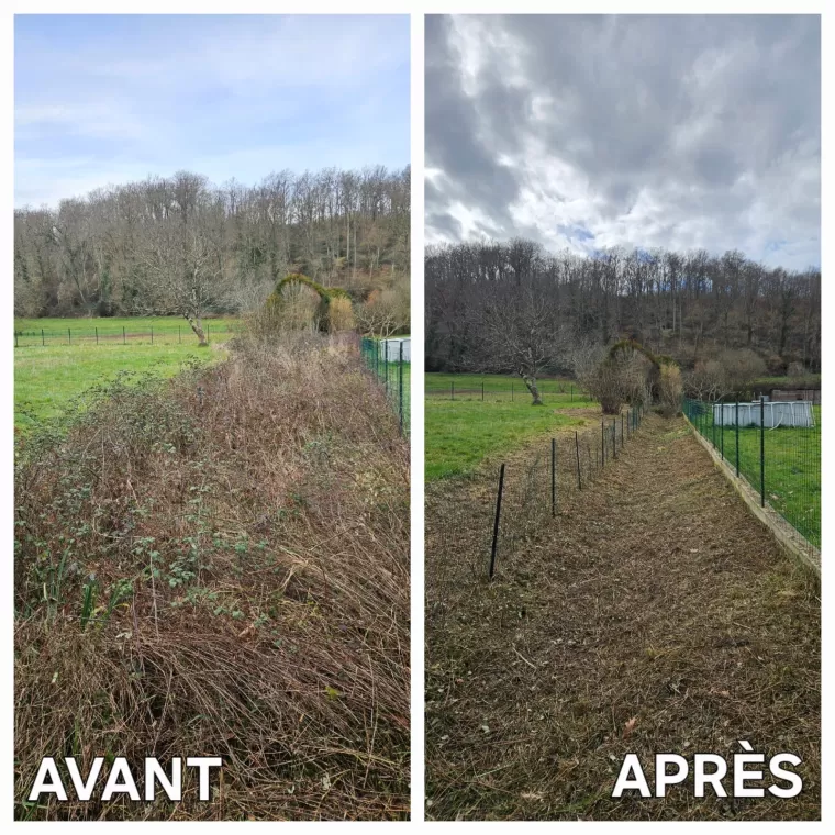 Intervention ponctuelle ou annuelle d'un jardinier à Lannemezan, Lannemezan, Maison Services et Compagnie