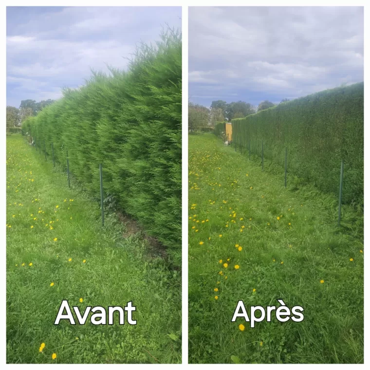 Faites confiance à nos jardiniers professionnels pour la taille de haie à Capvern, Lannemezan, Maison Services et Compagnie