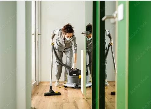 Une maison propre et bien entretenue sans effort avec Maison Services et Compagnie, Lannemezan, Maison Services et Compagnie