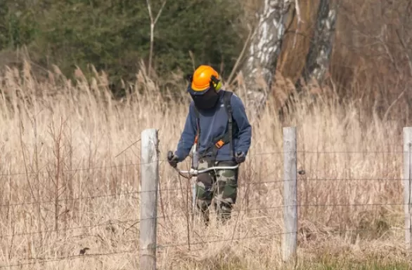 Débroussaillage d'un terrain à Lannemezan, Lannemezan, Maison Services et Compagnie
