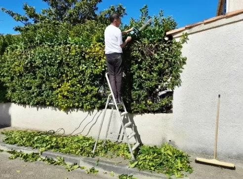 Taille de haie avec 50% de crédit d'impôt à Tarbes, Lannemezan, Maison Services et Compagnie