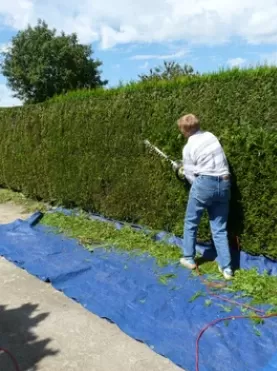 Taille de haie à Bagnères-de-Bigorre avec crédit d'impôt, Lannemezan, Maison Services et Compagnie