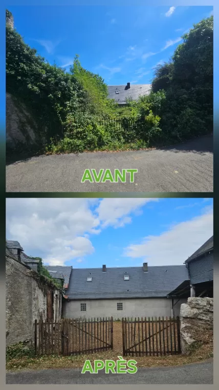 Prestation de débroussaillage avec crédit d'impôt immédiat à l'Admesan, Lannemezan, Maison Services et Compagnie