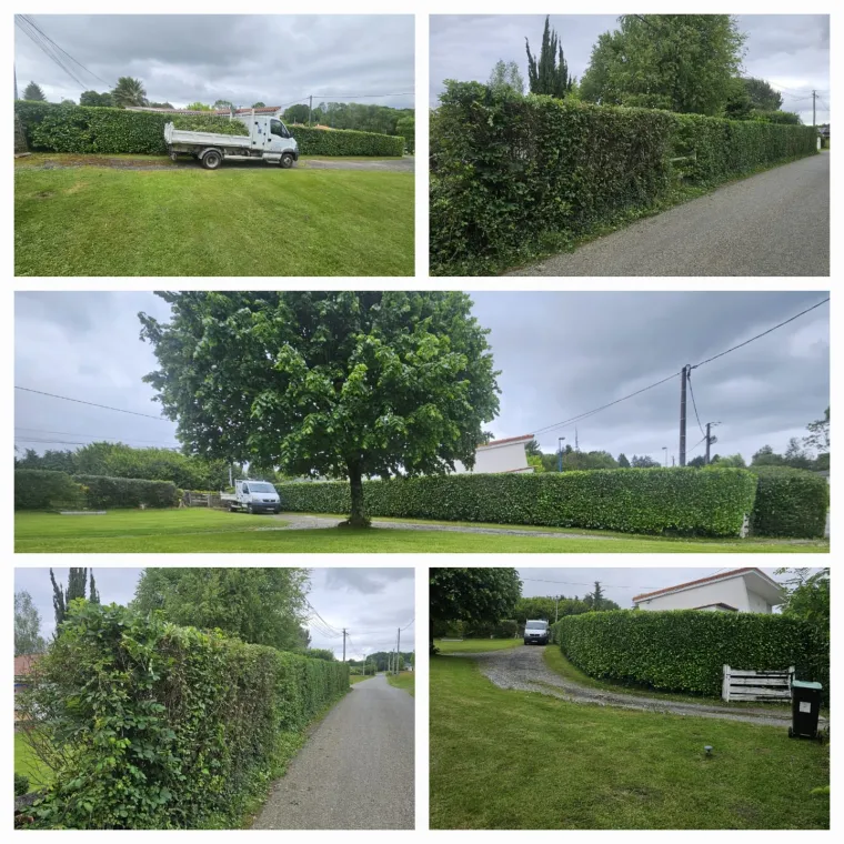 Comment choisir un bon jardinier à Lannemezan?, Lannemezan, Maison Services et Compagnie