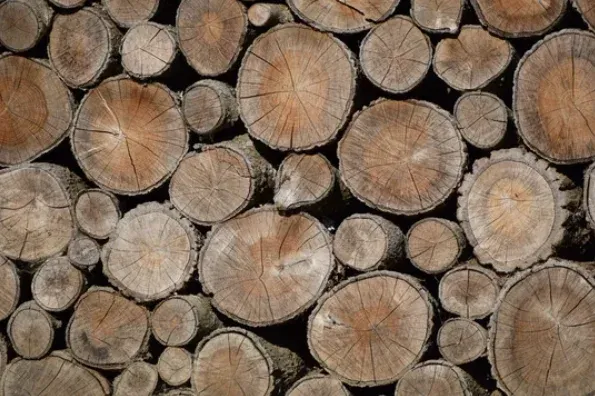 Rangement de bois à Lannemezan : pourquoi faire appel à un professionnel ?, Lannemezan, Maison Services et Compagnie