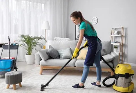 Ménage à domicile à Lannemezan avec Maison Services Et Compagnie, Lannemezan, Maison Services et Compagnie