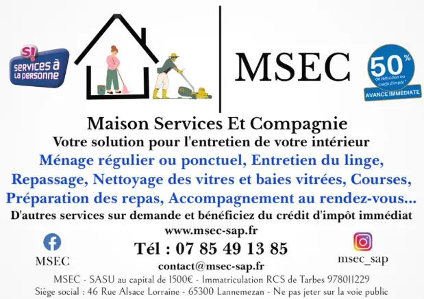 Société de ménage à domicile à Lannemezan, Lannemezan, Maison Services et Compagnie
