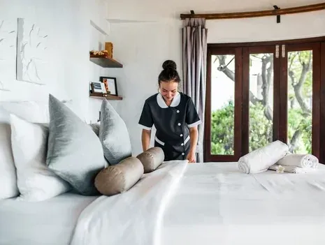 Recherche femme de ménage à Lannemezan, Lannemezan, Maison Services et Compagnie