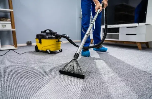 Champouineuse à moquettes à Lannemezan, Lannemezan, Maison Services et Compagnie