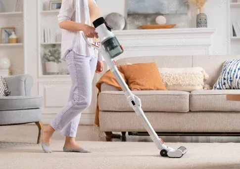 Prestations d'entretien de la maison à Lannemezan, Lannemezan, Maison Services et Compagnie