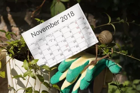 Calendrier saisonnier de l'entretien des espaces verts dans les Hautes-Pyrénées, Lannemezan, Maison Services et Compagnie