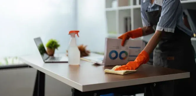 Femme de ménage à domicile à Lannemezan avec inscription gratuite au crédit d'impôt immédiat, Lannemezan, Maison Services et Compagnie