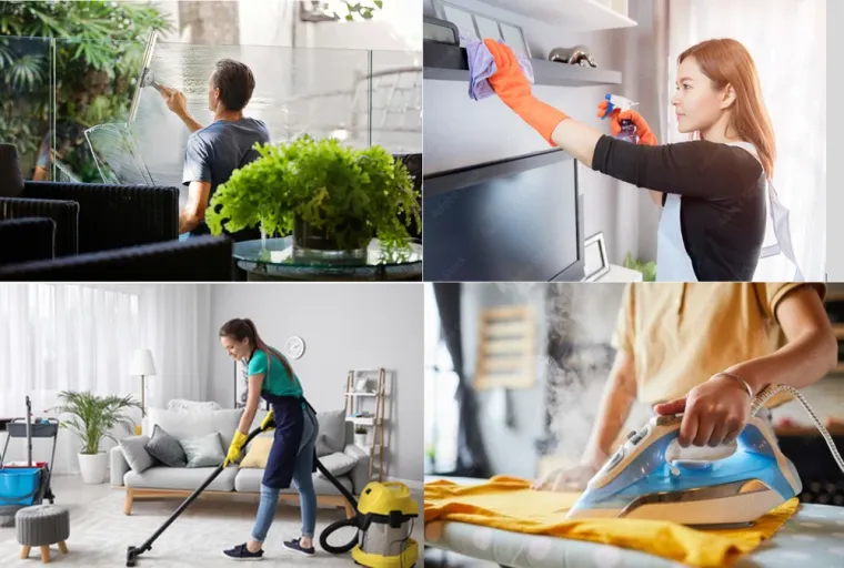 Service à la personne à Tarbes avec Maison Services et Compagnie, Lannemezan, Maison Services et Compagnie