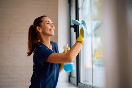 Crédit d'impôt immédiat à Pau pour vos prestations ménagères, Lannemezan, Maison Services et Compagnie