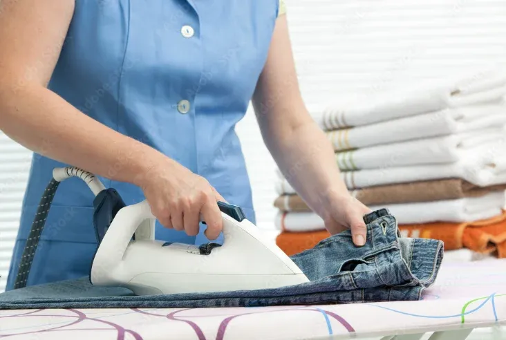 Repassage à domicile à Lannemezan et les alentours, Lannemezan, Maison Services et Compagnie