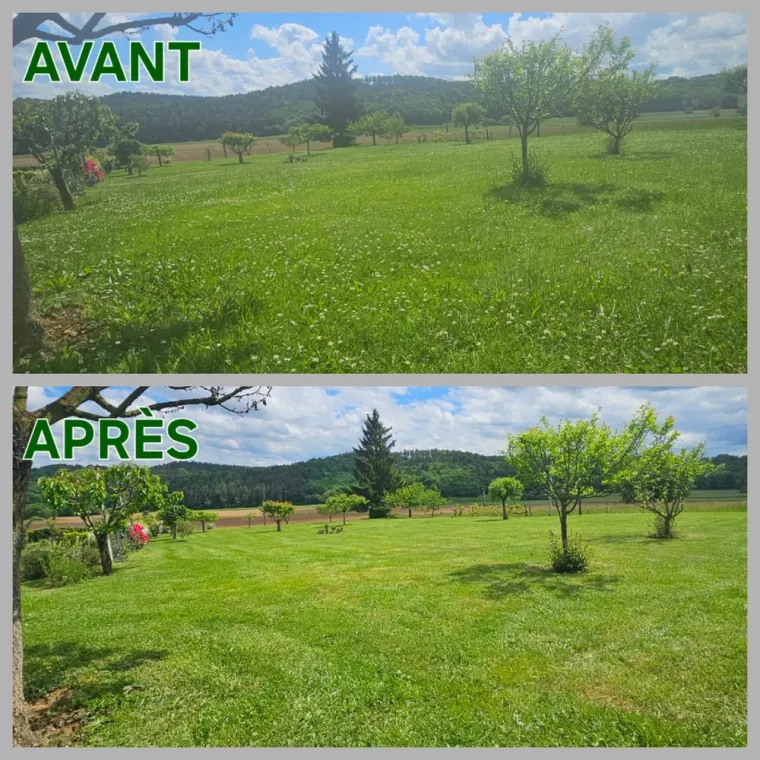 Tonte de pelouse à Lannemezan : préparez votre jardin pour le printemps, Lannemezan, Maison Services et Compagnie