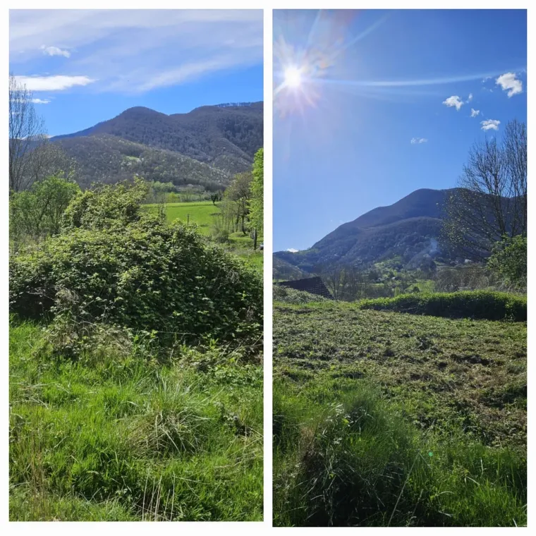 Devis gratuit pour l'entretien de jardin à domicile à Lannemezan avec crédit d'impôt immédiat, Lannemezan, Maison Services et Compagnie