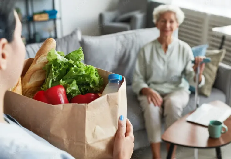 Aide aux seniors pour des prestations ménagères avec crédit d'impôt immédiat à Lannemezan, Lannemezan, Maison Services et Compagnie