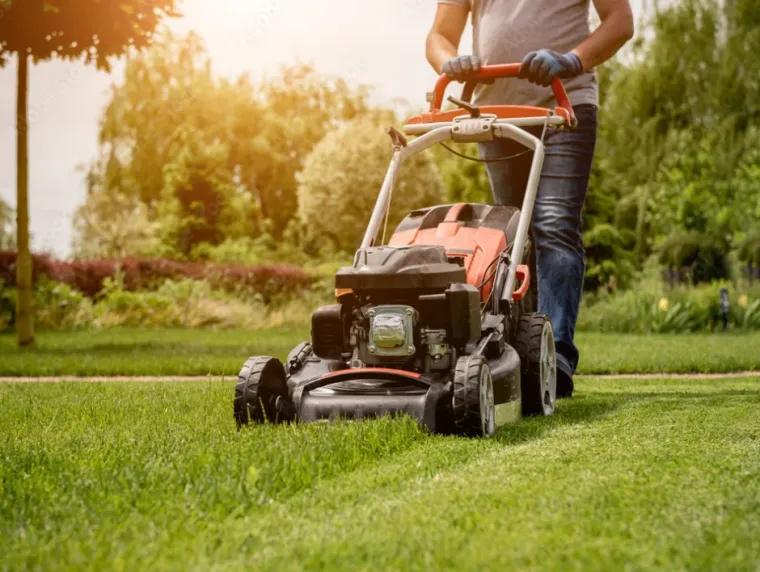 Tonte de pelouse à Lannemezan avec crédit d'impôt immédiat, Lannemezan, Maison Services et Compagnie