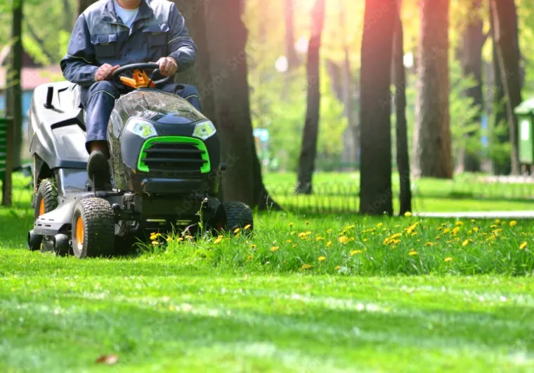 Tonte de pelouse à Tarbes avec Maison Services et Compagnie, Lannemezan, Maison Services et Compagnie