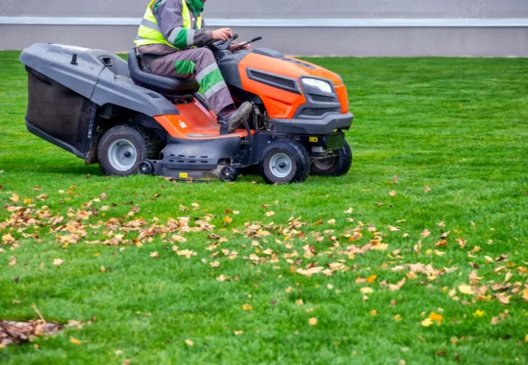 Entretien de pelouse à Tarbes, Lannemezan, Maison Services et Compagnie