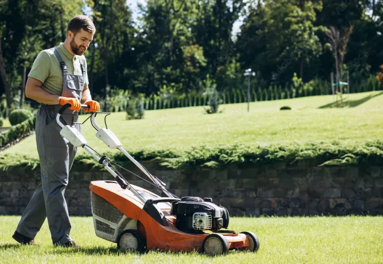 Tonte de votre jardin à Bagnères de Bigorre, Lannemezan, Maison Services et Compagnie