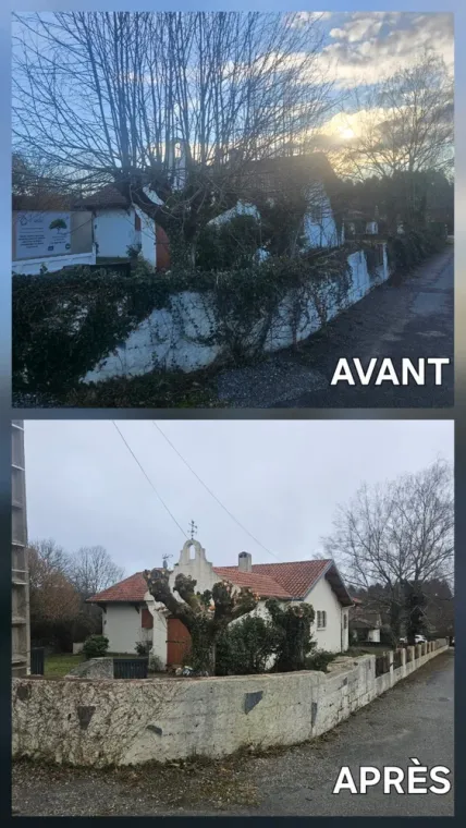 Entretien des espaces verts à Tarbes, Lannemezan, Maison Services et Compagnie