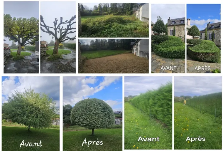 entretenir son jardin à Lannemezan sans y passer tout son week-end, Lannemezan, Maison Services et Compagnie