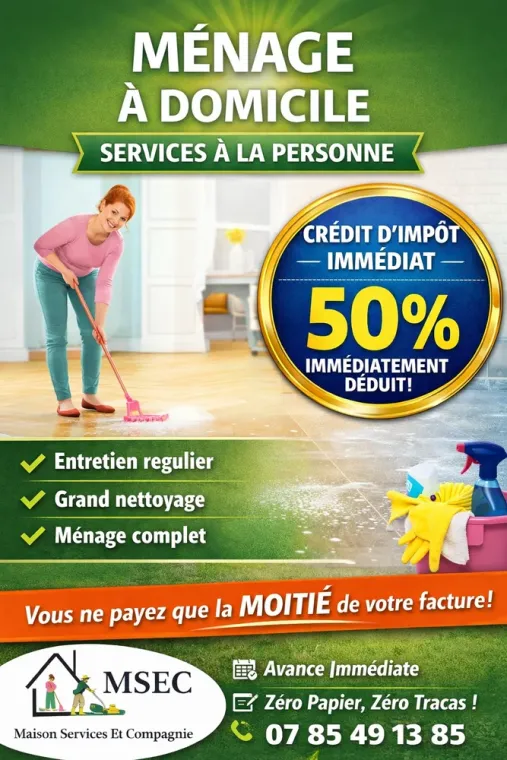 Aide ménagère expérimentée à Lannemezan avec crédit d'impôt immédiat, Lannemezan, Maison Services et Compagnie