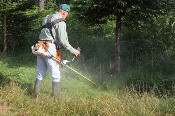 Entreprise avec des jardiniers à Lannemezan, Lannemezan, Maison Services et Compagnie