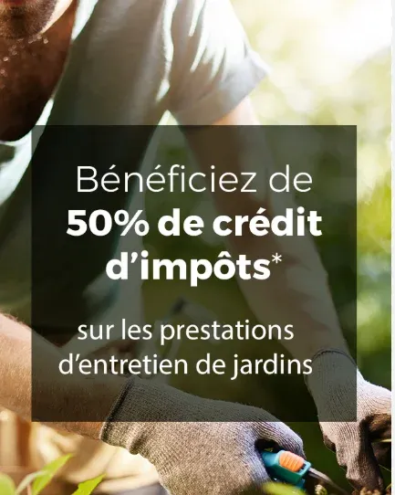 Jardinage avec avantage fiscal à Lannemezan, Lannemezan, Maison Services et Compagnie