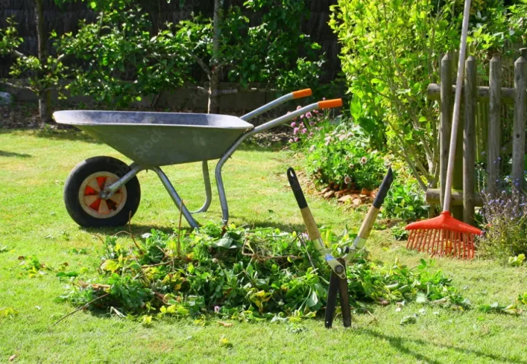 Entretien de jardin particulier à Lannemezan avec crédit d'impôt immédiat, Lannemezan, Maison Services et Compagnie