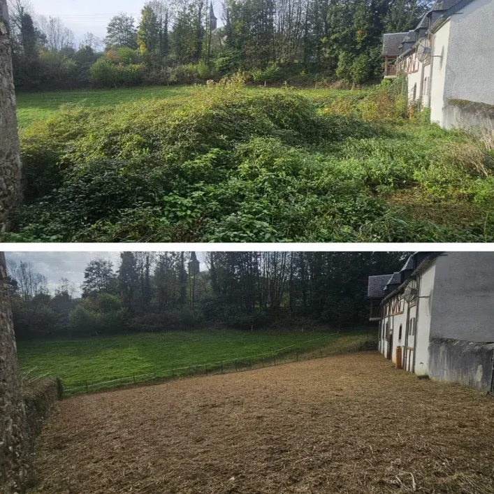 Débroussaillage obligatoire à Lannemezan et les environs, ce que dit la réglementation, Lannemezan, Maison Services et Compagnie