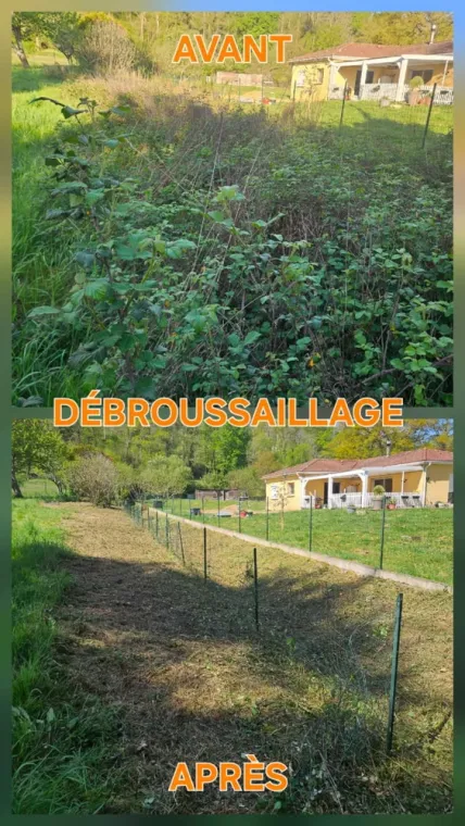 débroussaillage avec crédit d'impôt immédiat à Lannemezan, Lannemezan, Maison Services et Compagnie